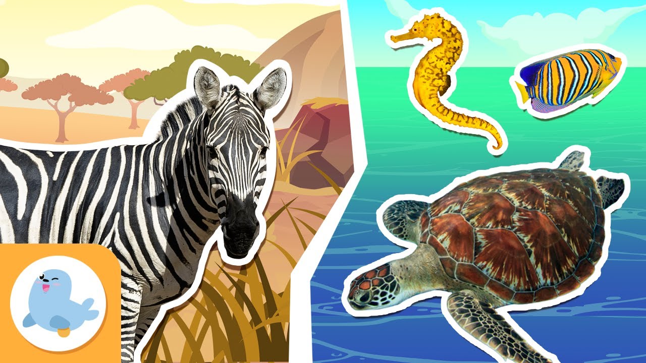 HABITATS TERRESTRES e AQUÁTICOS para crianças 🌲💧 Deserto, selva, rios, oceanos... 🌄🌊 Recopilação