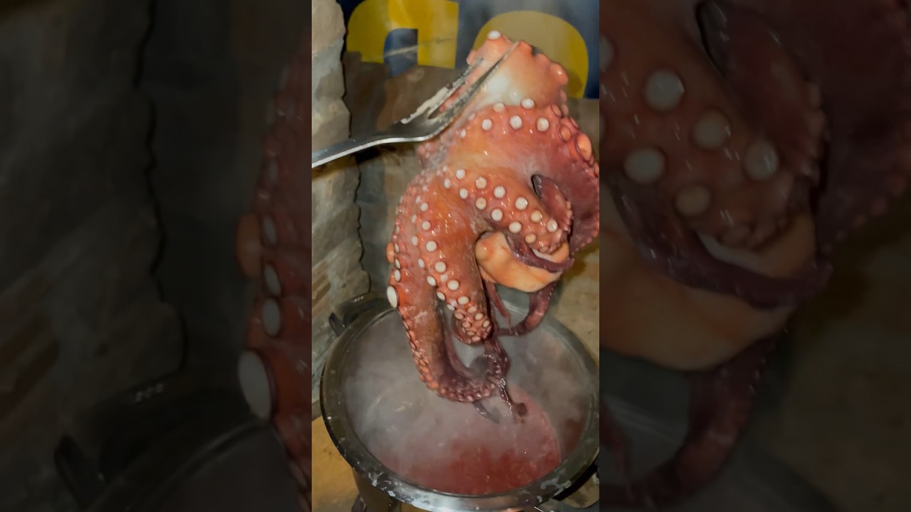 Kuhanje hobotnice i pripremanje za sač!!🐙 #shorts  #fyp  #hobotnica #sač  #subscribe
