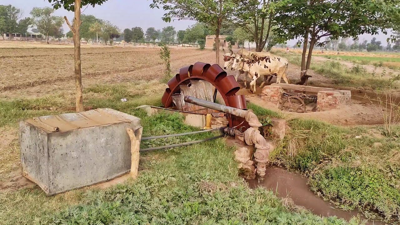 Old Traditional Irrigation Method | Ancient Water Technology System | Punjab Village Life