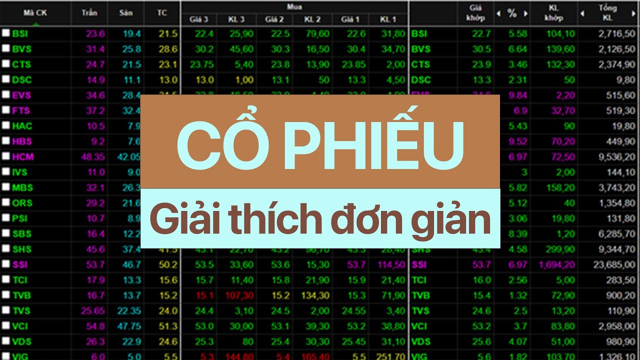 T&agrave;i Ch&iacute;nh 101 | Cổ Phiếu (Stock)