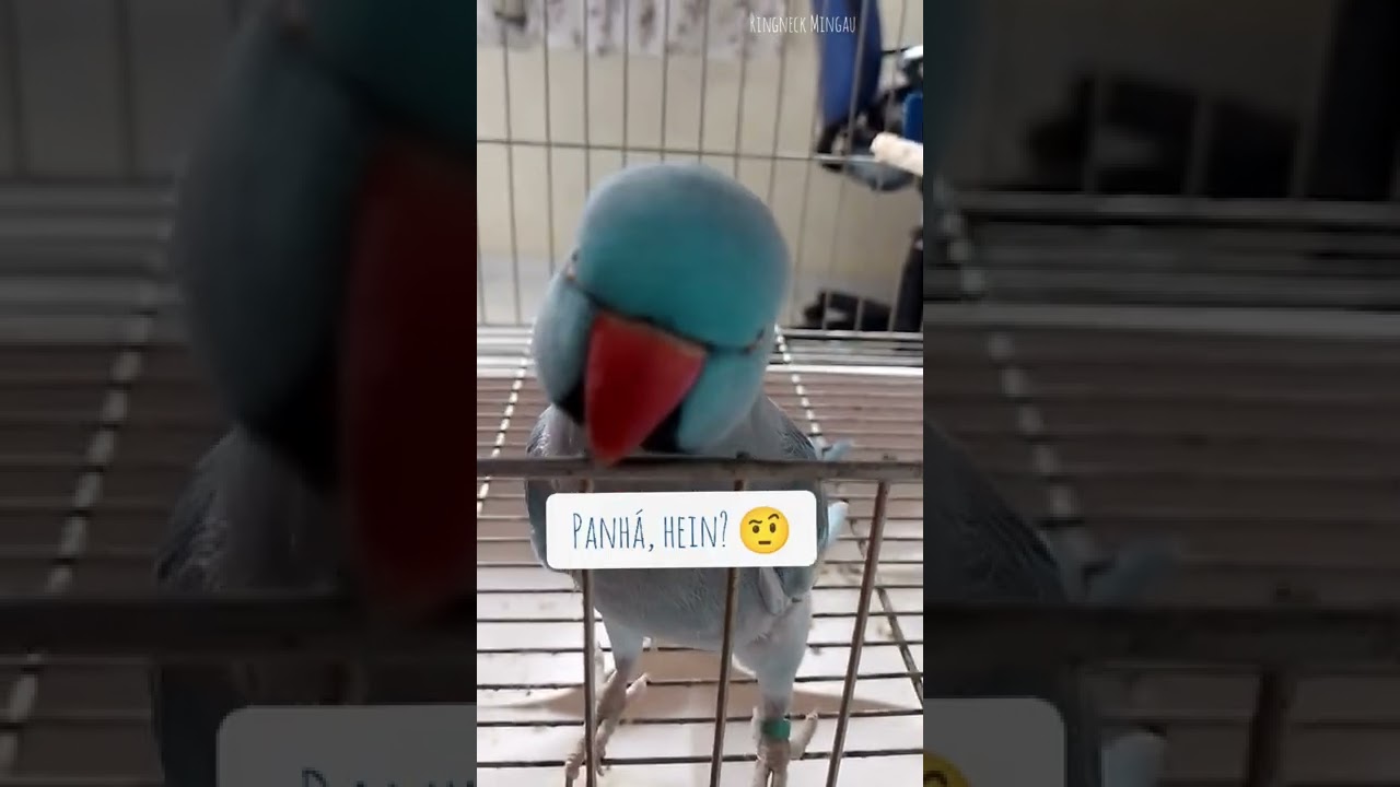 Um bom dia desse... 😂💙
