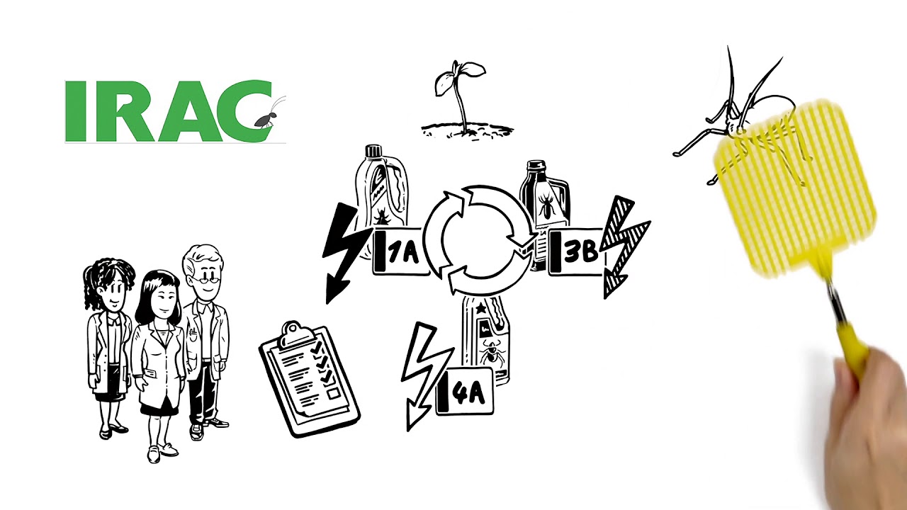 (Bahasa - Indonesian) Insecticide Resistance Management from IRAC