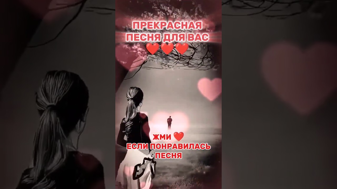 Очень трогательная песня для души 🎶 