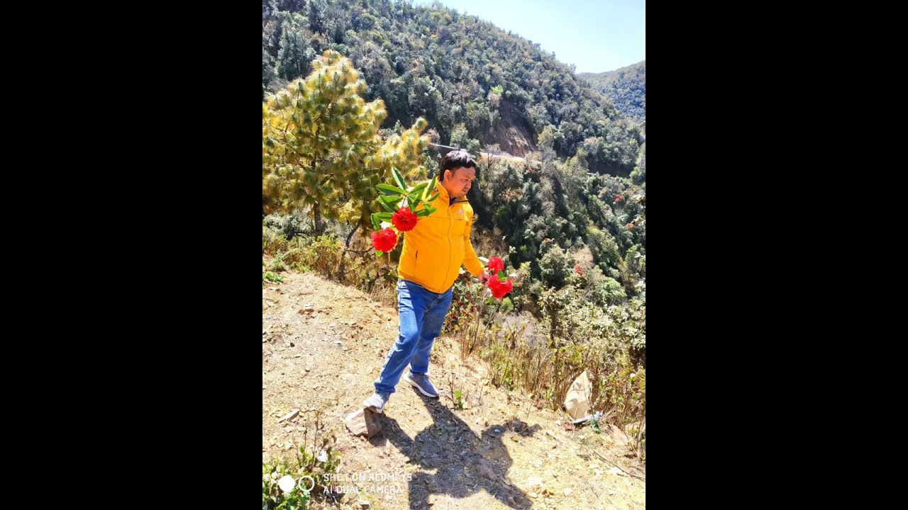 शिशीर पछि वसन्त आयाे AI गीत 