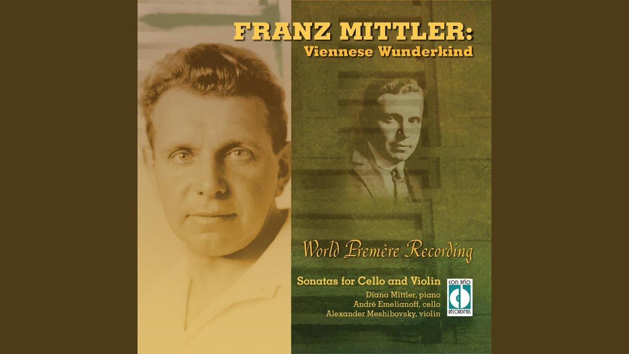 Sonata in D for Violin: I. Andante-Allegro appassionato