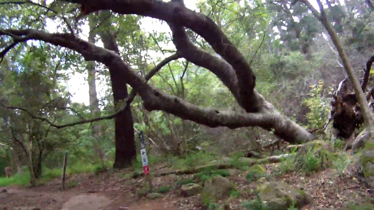 Cape Town Mountain Biking Part 1