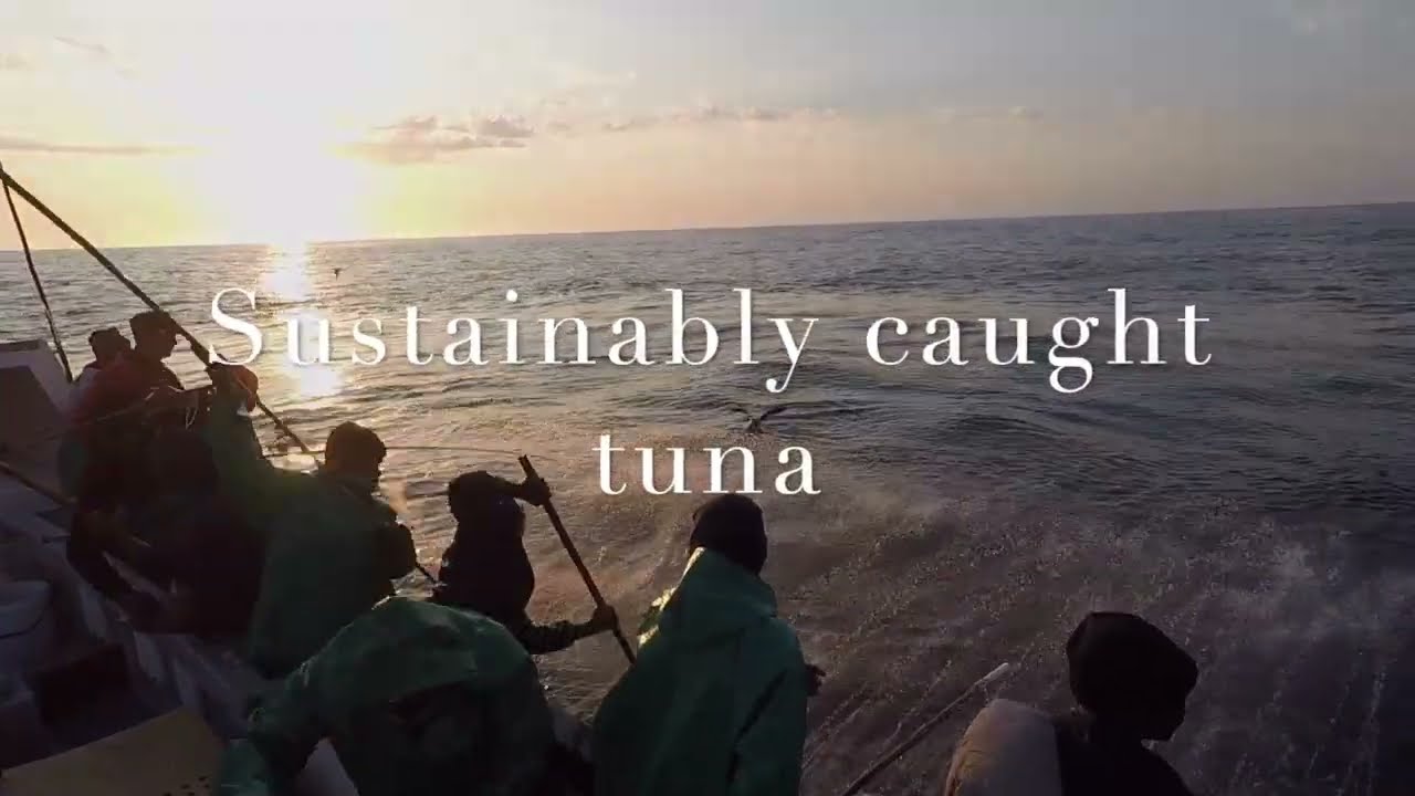 Tuna Pole Fishing MFV Puffin 2023   HD 720p
