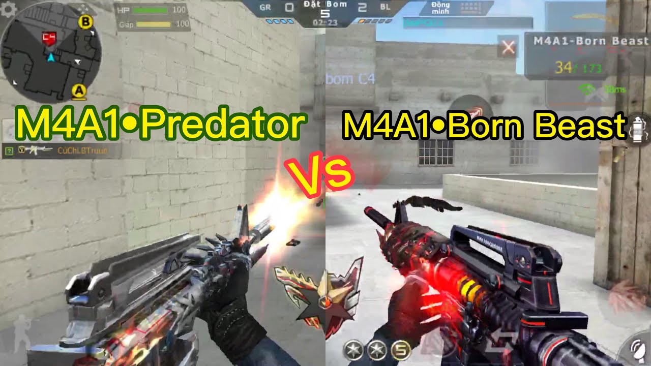 CF Mobile/CF Legends | M4A1-Predator vs M4A1-Born Beast - Cân Luôn Team TMP VIP√