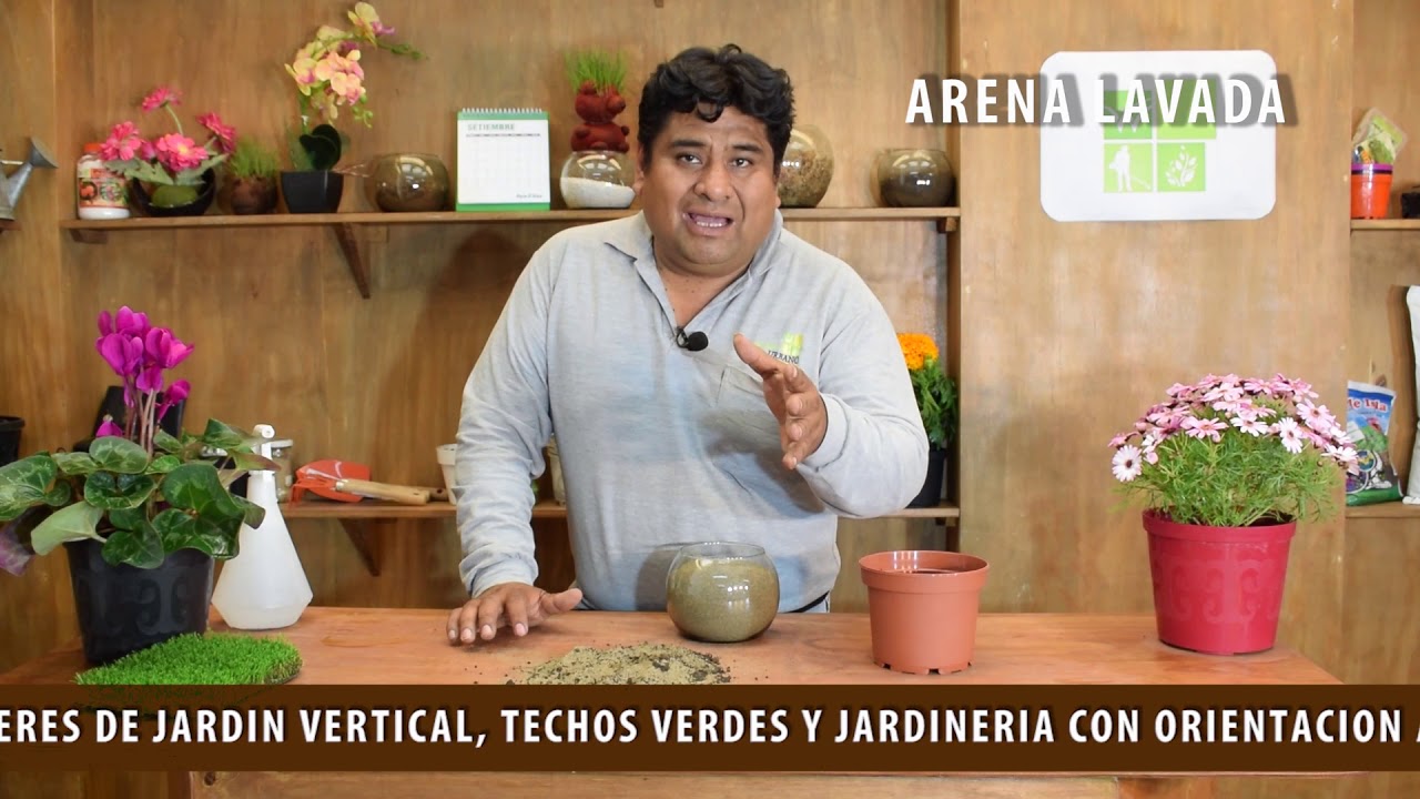 Colocación de arena lavada en plantas y grass.