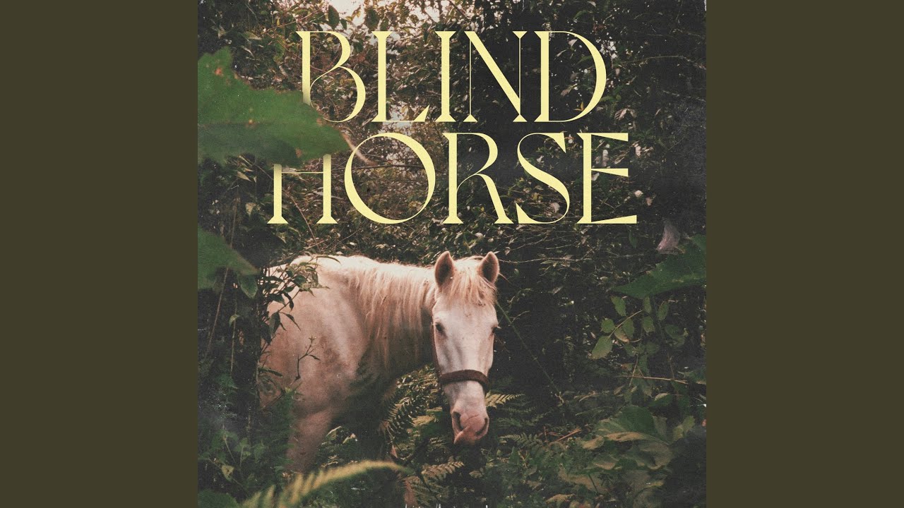 Blind Horse
