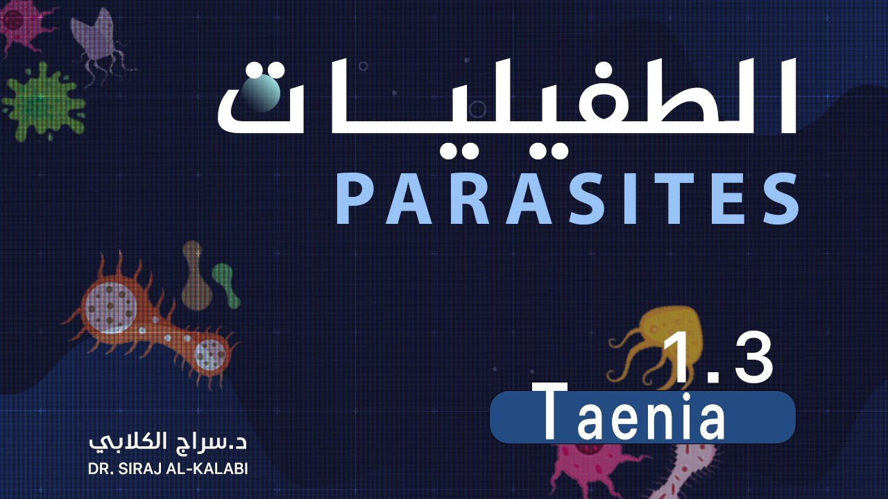 التحليلات \ المادة الوزارية ( الطفيليات ) \ المحاضرة الاولى 2024 \ Taenia \ الجزء الاول