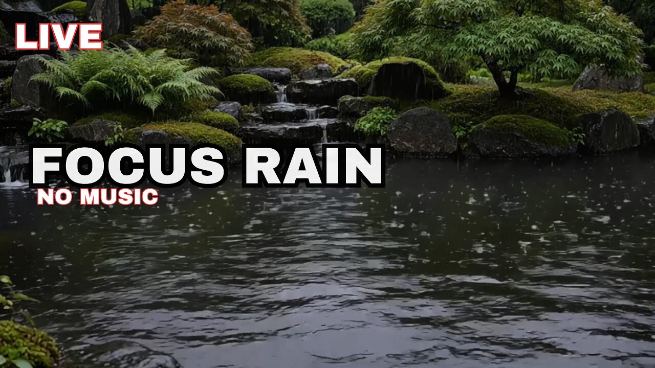Live Rain Sounds for Focus & Study: Zen Garden Pond (No Music)
