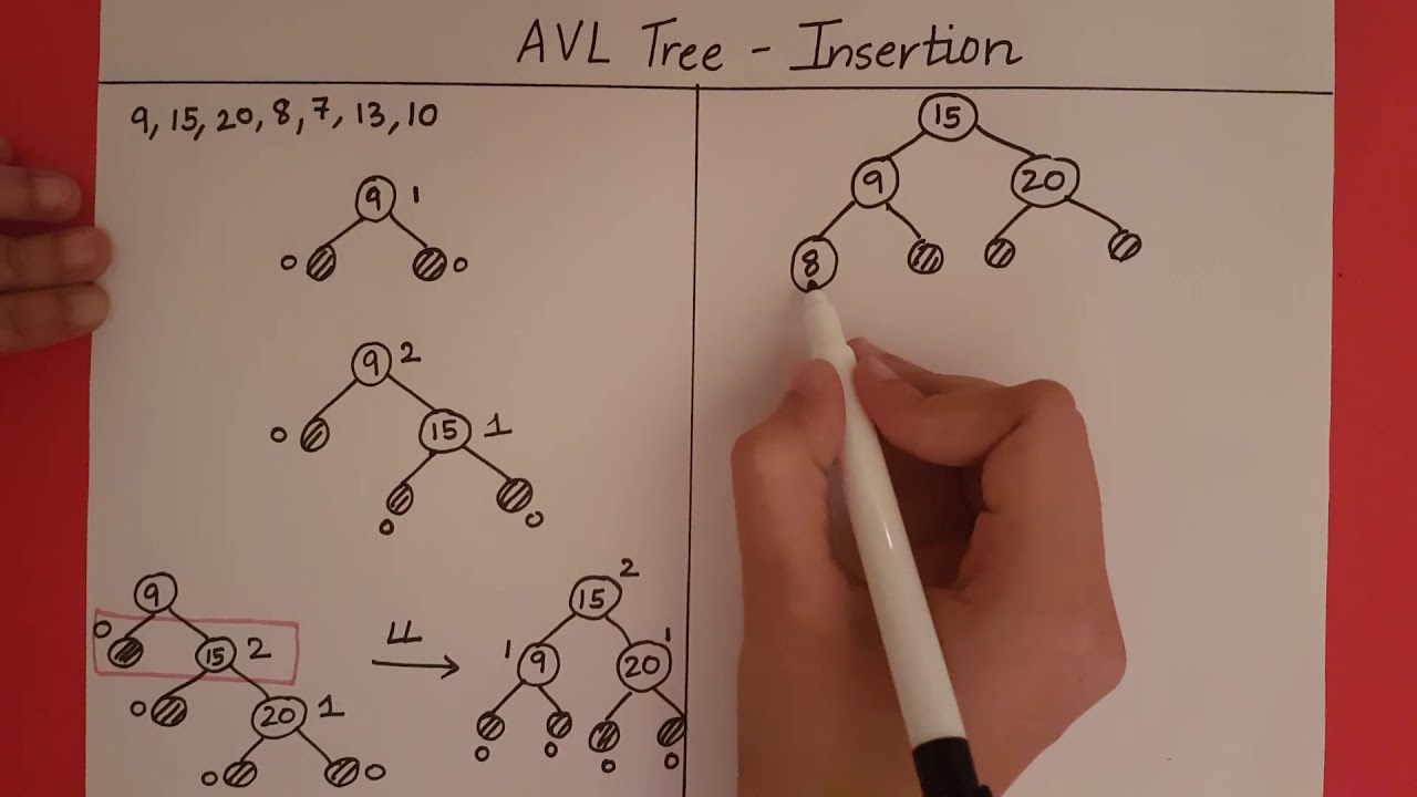 AVL Tree - Insertion