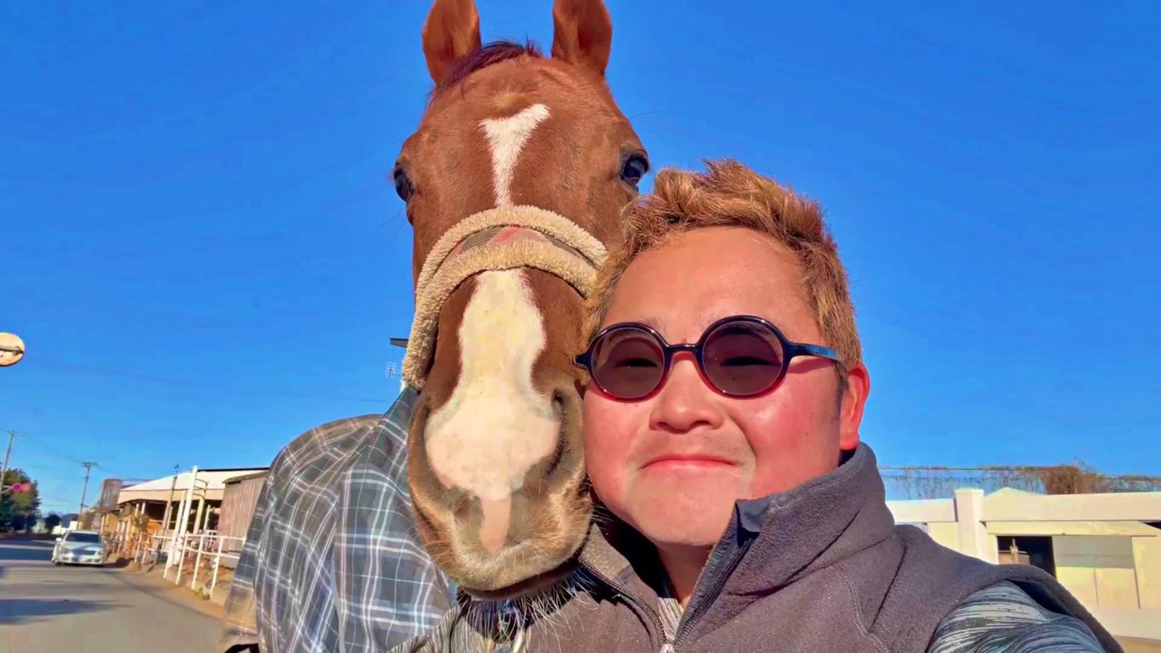 競走馬を引退して4ヶ月が経過したアズグレーター号について、現状を本音でお話します(可愛い)【ツルマルボーイ様のシモベ】