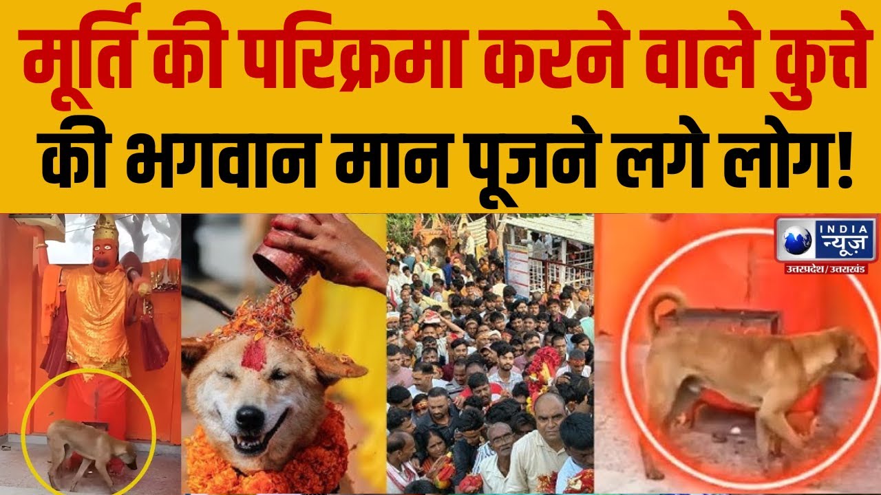 Bijnor Viral News : मूर्ति की परिक्रमा करने वाला कुत्ता बना आस्था का केंद्र, दर्शन के लिए लगी लाइन |