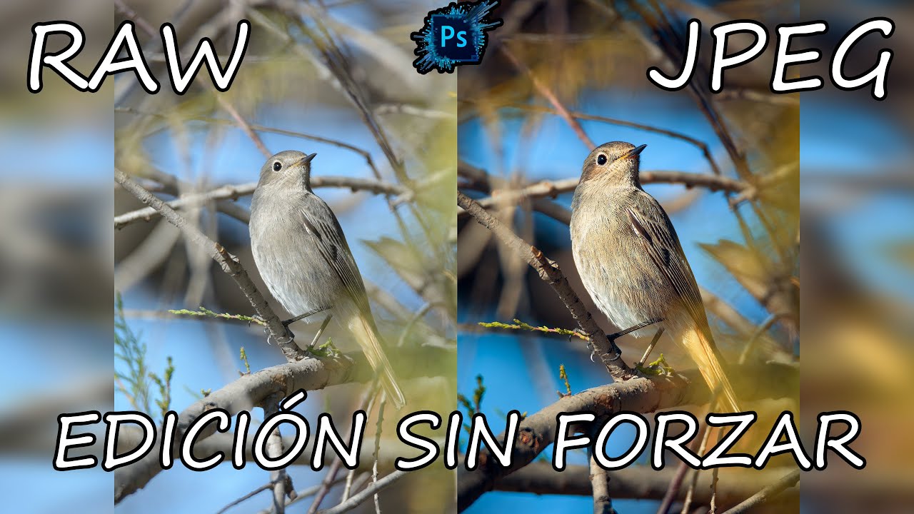 Edición Completa Sin Forzar Edición de la Imagen