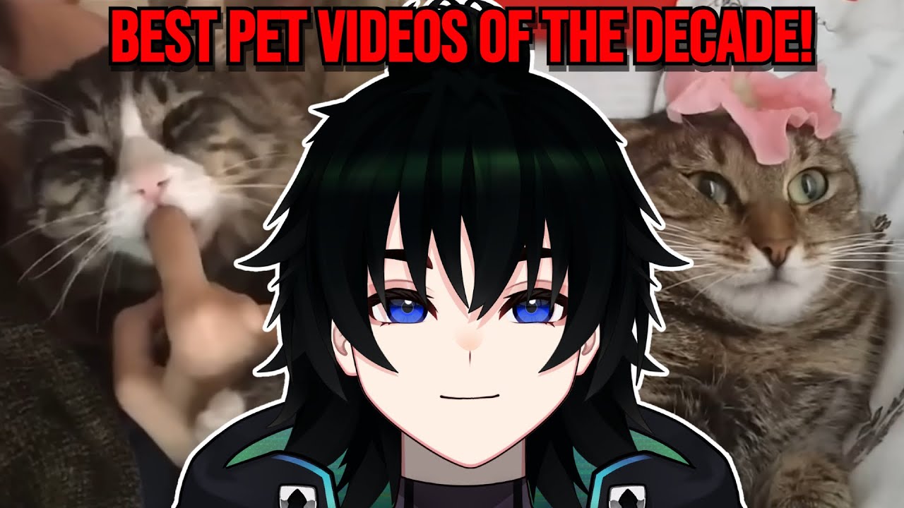 Watch This Vtuber React To Epic Pet Moments Of The Decade!