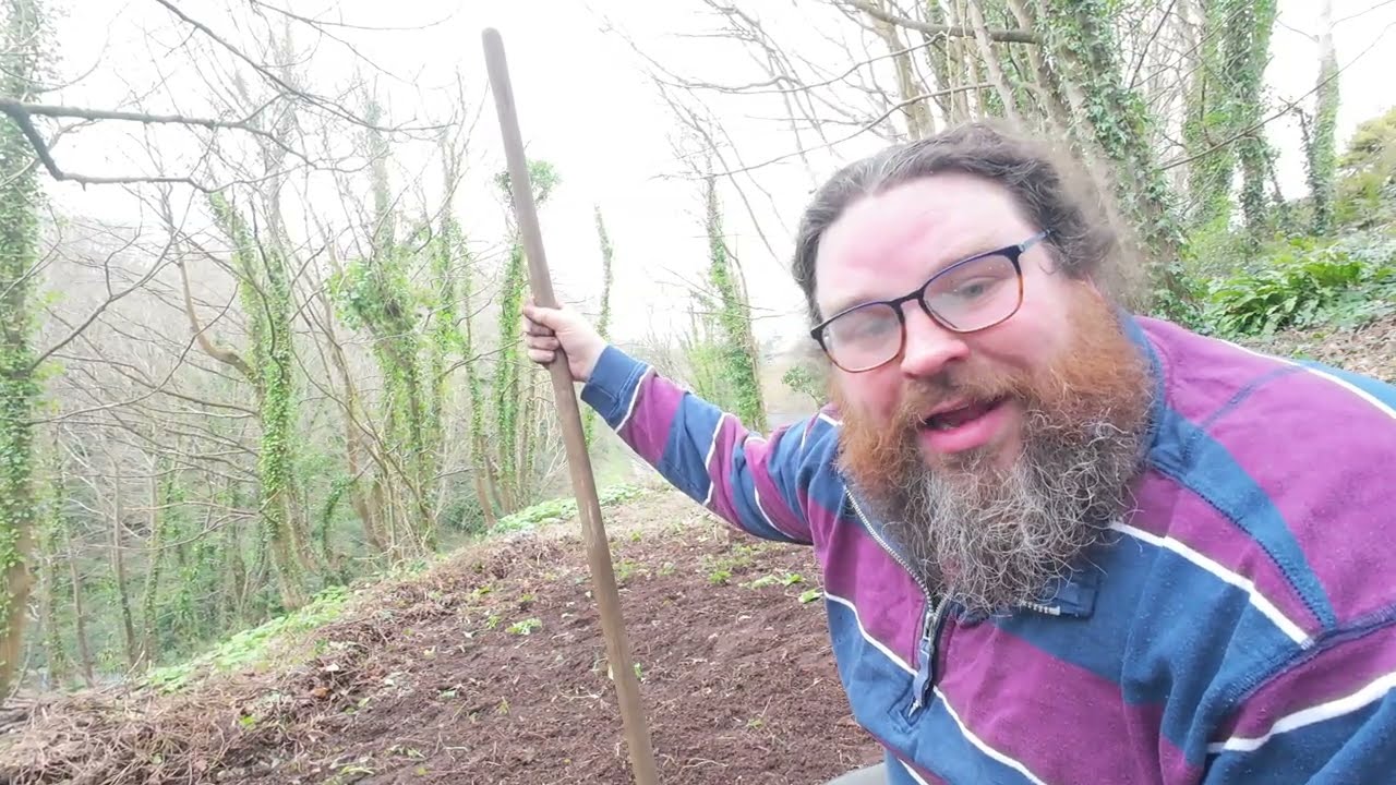 Making a start on the garden! Clearing the land 