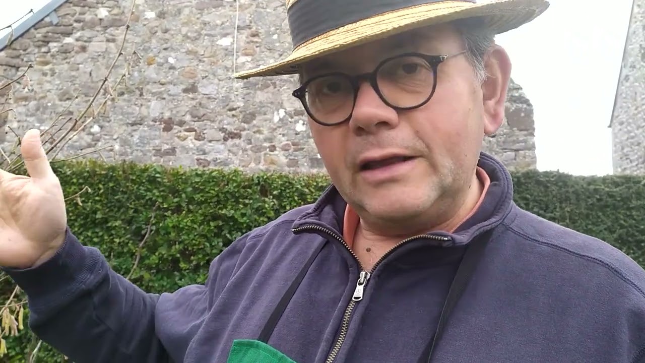 Comment tailler un noisetier : observer sa floraison