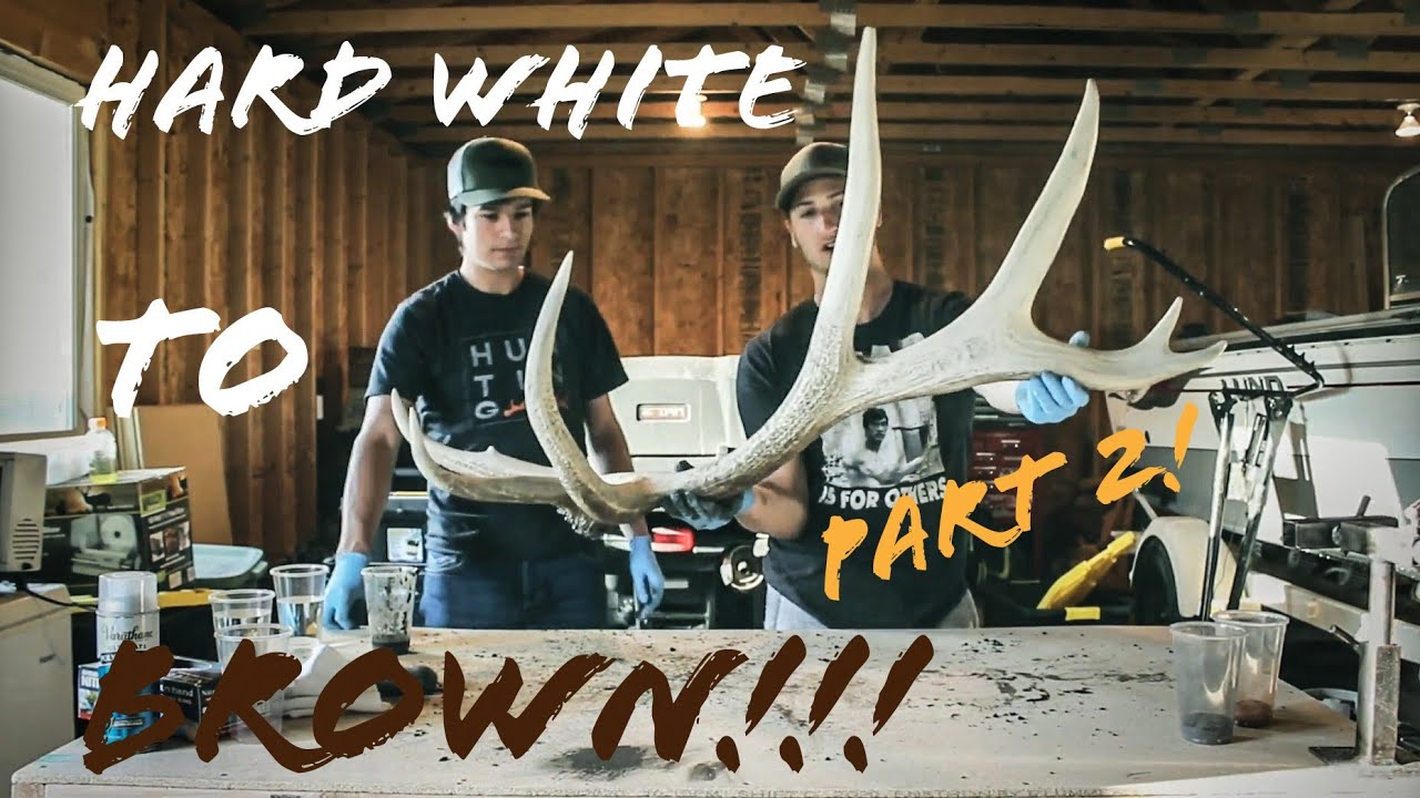 HOW TO RESTORE ANTLERS! 395