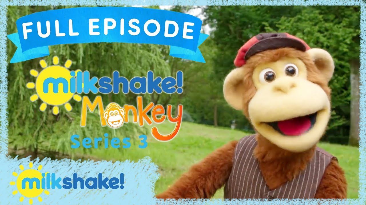 Milkshake! Monkey | Port Lympne