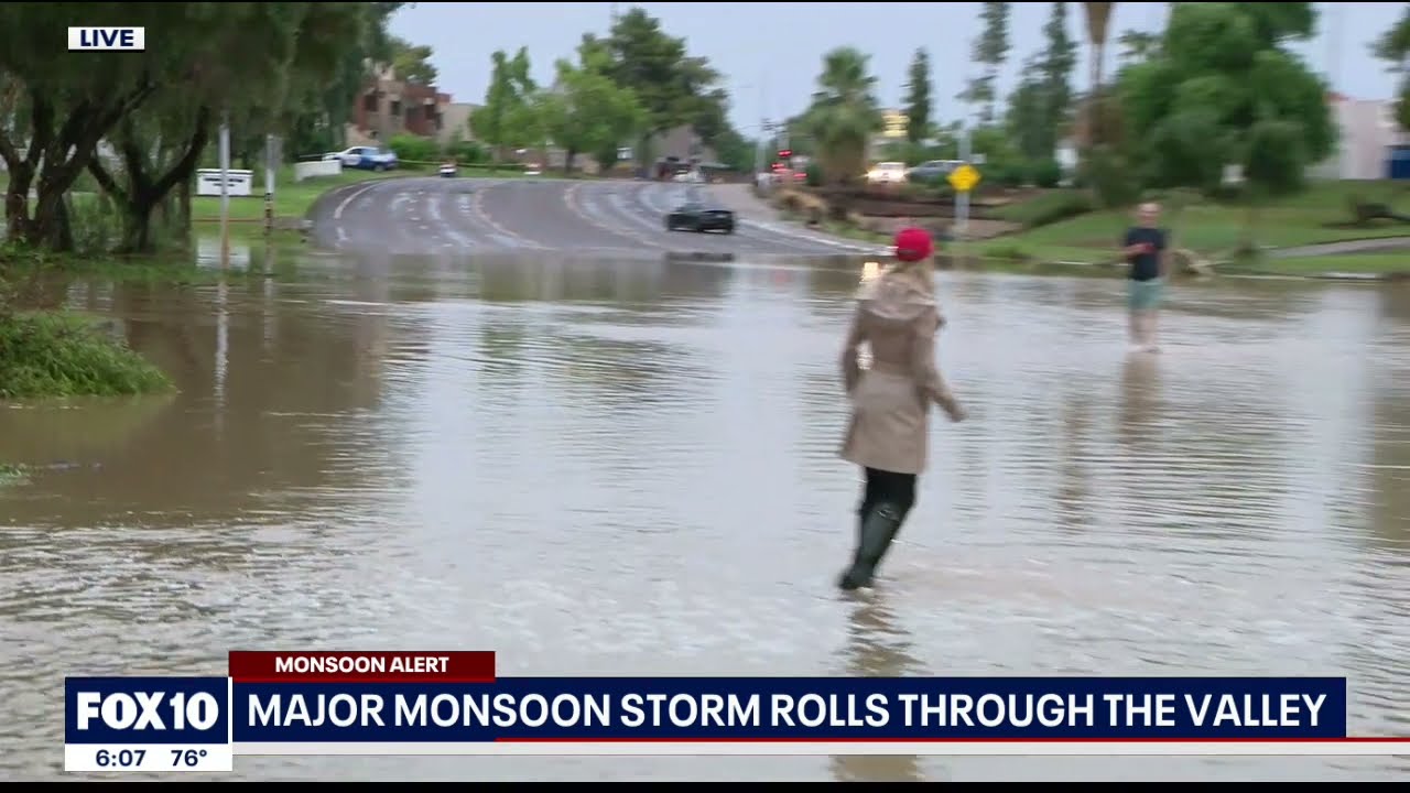 FOX 10's Anita Roman spots a fish swimming in the middle of the street in Scottsdale