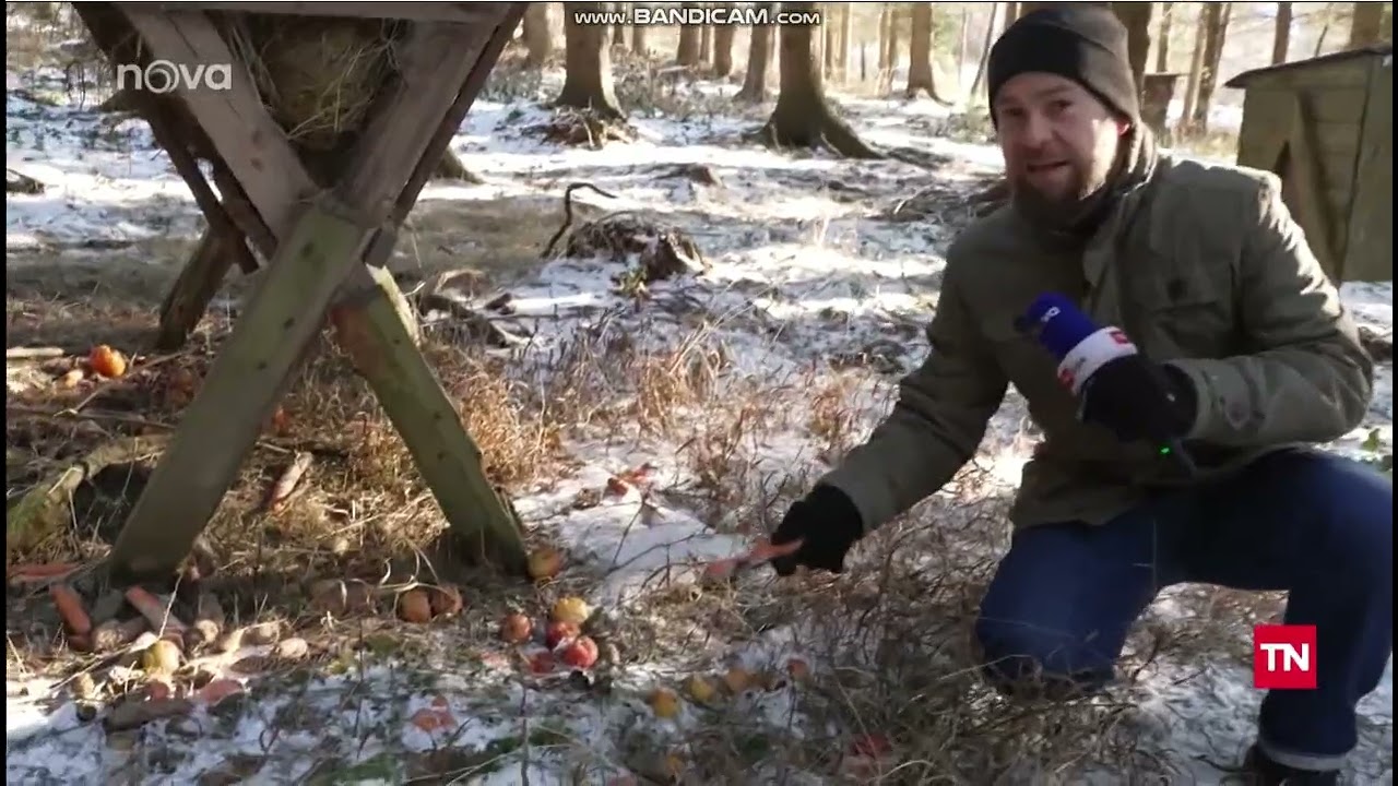 Přikrmování zvěře v Kateřinicích 20260104