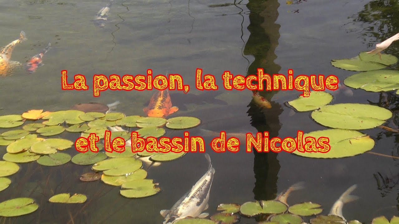 La passion, la technique et le bassin de Nicolas