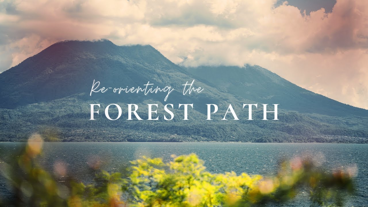 Forest Path Immersion | A Reorientation