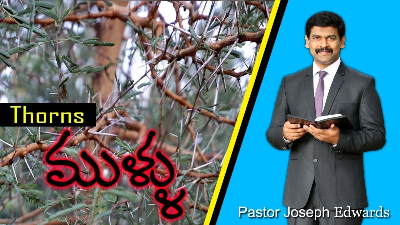 Thorns /  ముళ్ళు  / Pastor Joseph Edwards Messages