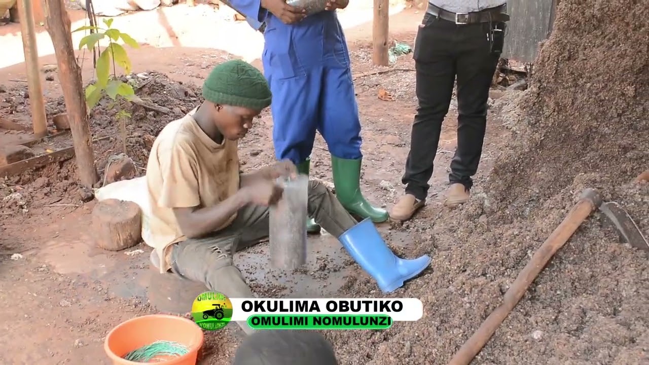 Okulima Obutiko ne mwaami kiddu part one