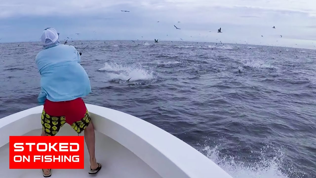 Рыбалка в Панаме, тунец повсюду! | Полный выпуск «В восторге от рыбалки» | 2020