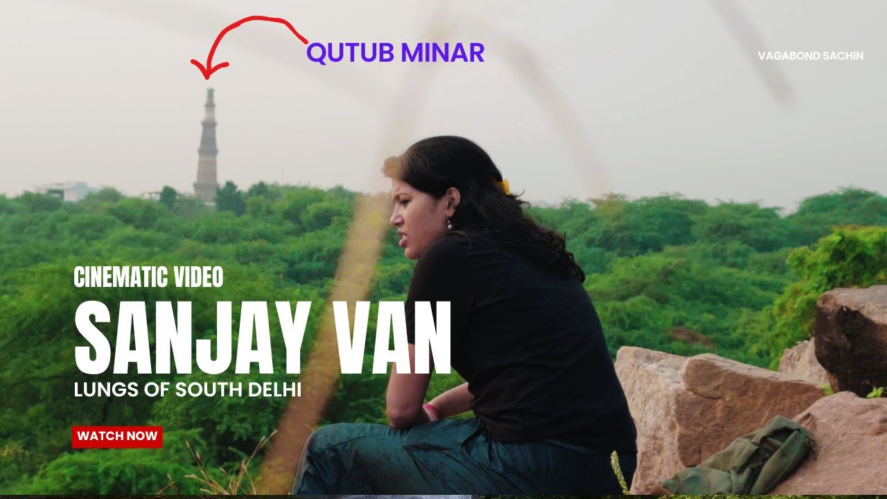 Sanjay Van: A Place to escape during pollution in Delhi