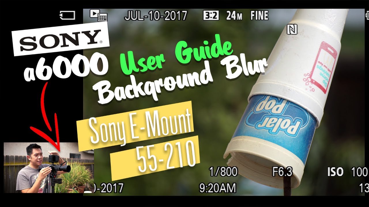 Sony a6000 with Sony 55-210 User Guide: Background Blur