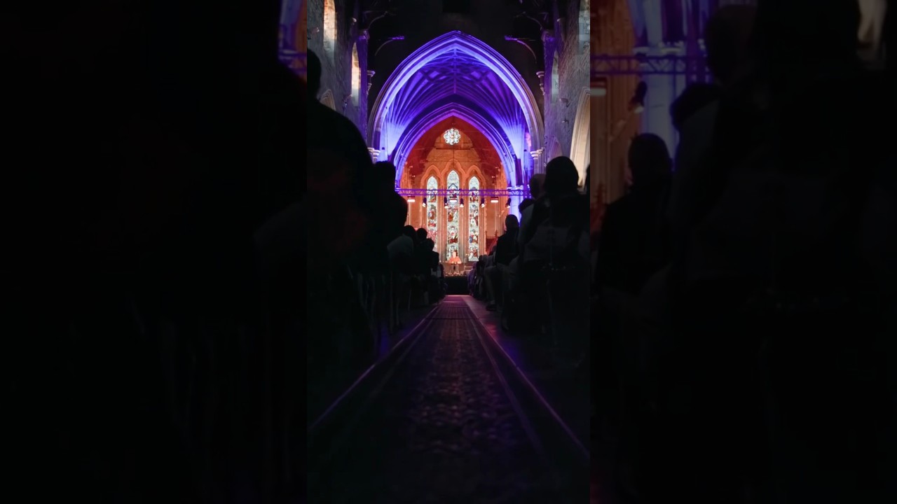 @kilkennyartsfestival Highlights 2 #kaf24 #livemusic #irishart #liveperformance #violin