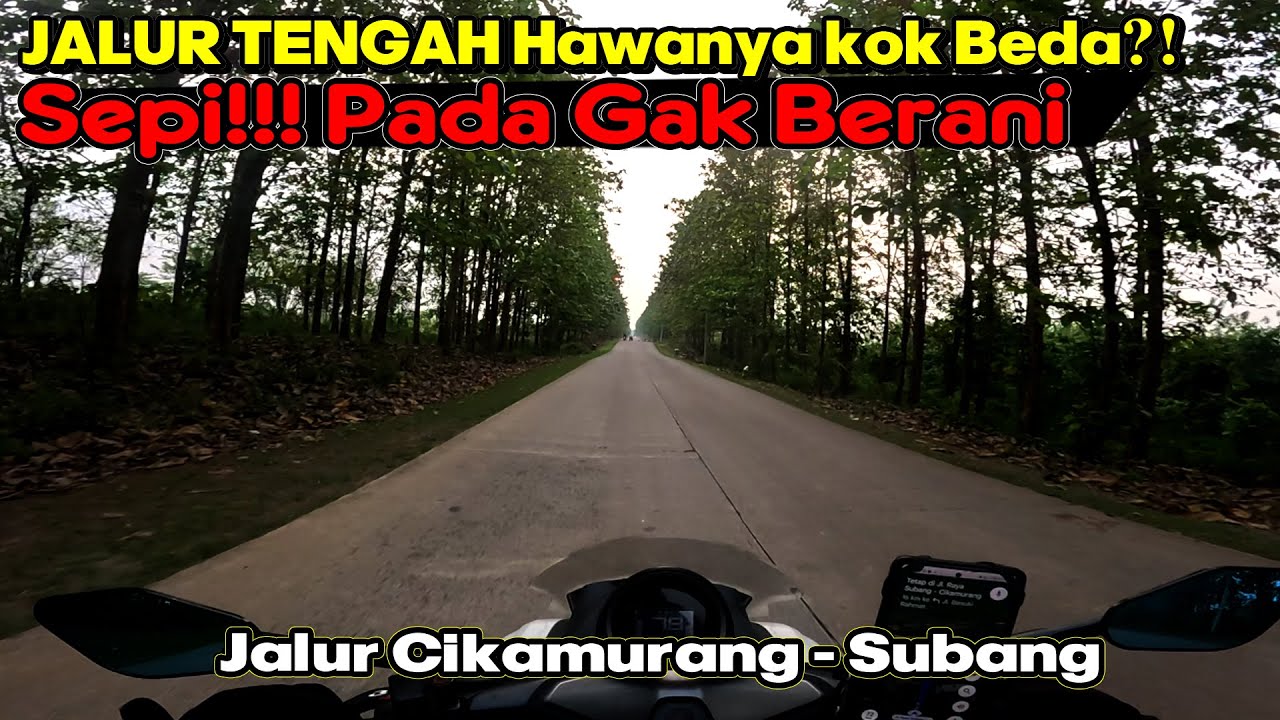 Jalur Tengah SEPI!! Hawanya kok beda ya Lembab Banyak Pohon Jati | Jalan Cikamurang - Subang