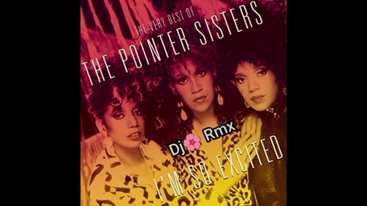 I'M SO EXCITED - THE POINTER SISTERS           (Dj🌸RMX) #Imsoexcited #thepointersisters 