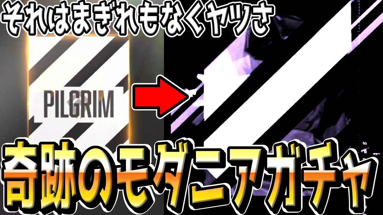 【音量注意】新年初のモダニアガチャで孤独なsilhouetteに飲み込まれる配信者【勝利の女神：NIKKE】【メガニケ】