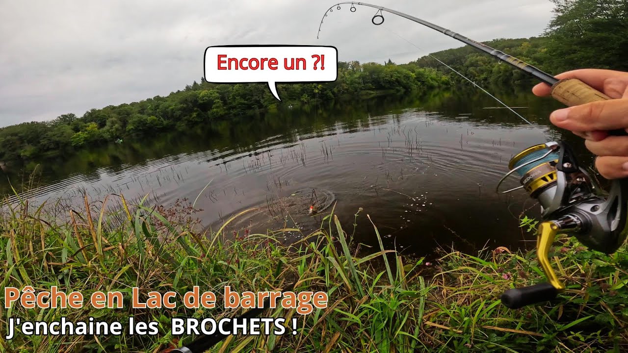 J'enchaine les BROCHETS en Lac de Barrage du Bord ! (Pêche au leurre)