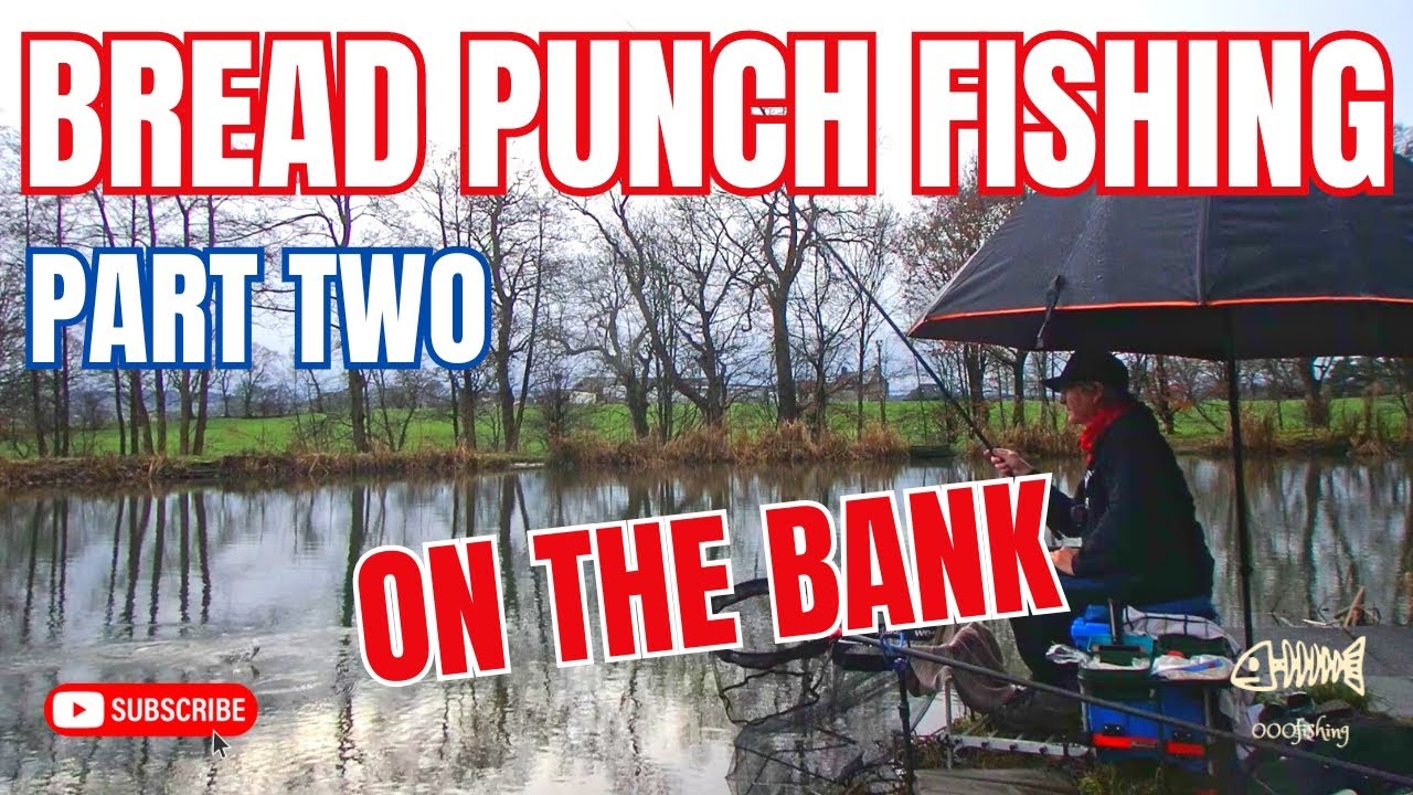 BRILLIANT BREAD PUNCH | How to use bread punch and liquidised bread for fishing
