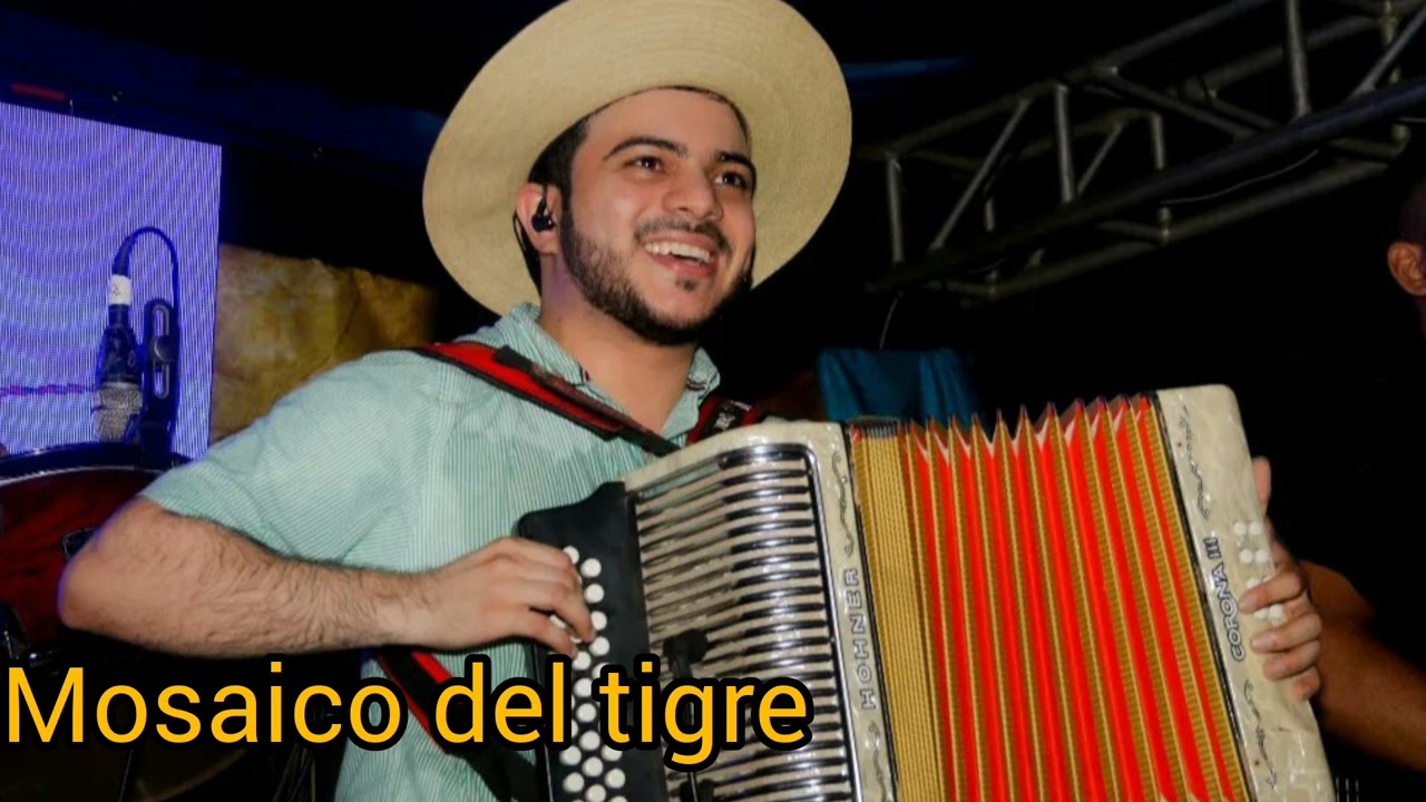 Mosaico del Tigre Jorge Gomez Maykol Cardenas 2023 En viVo