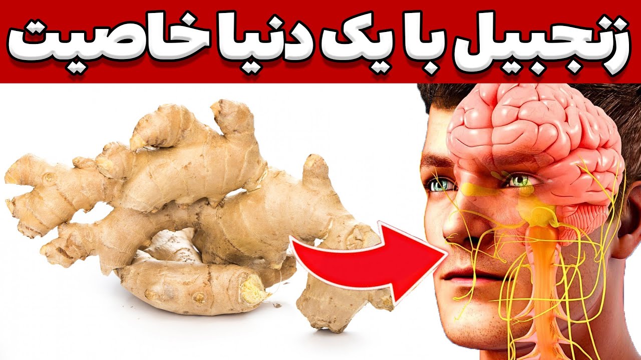 خواص زنجبیل برای سلامتی | همه چیز درباره خواص زنجبیل