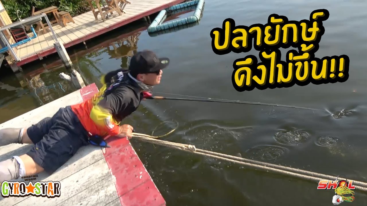 เหยื่อปลอมบึงสำราญ ปลายักษ์ดึงไม่ขึ้น! I just can't win this battle!