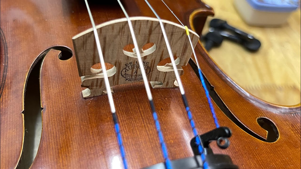How to choose a violin Bridge สอนเลือกหย่องไวโอลิน