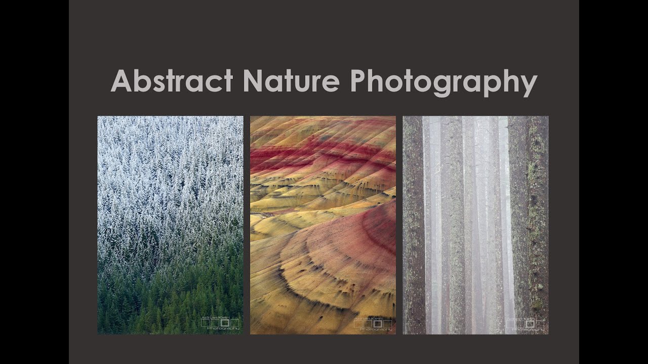 Abstract Nature Photography