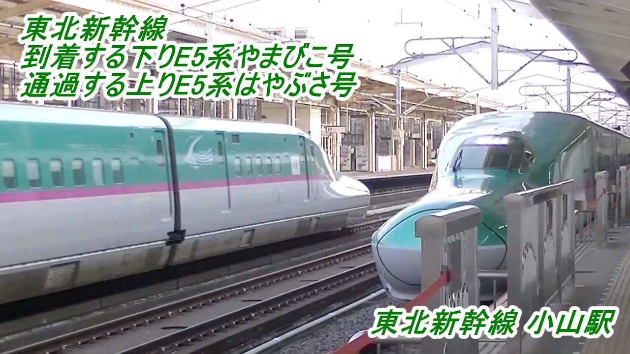 東北新幹線 小山駅   到着する下りE5系やまびこ号   通過する上りE5系はやぶさ号