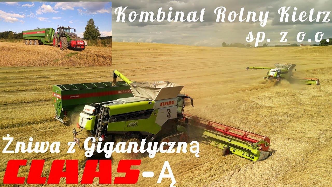 Żniwa z Gigantyczną Claasą 2025 Kombinat Rolny Kietrz sp. z o.o.