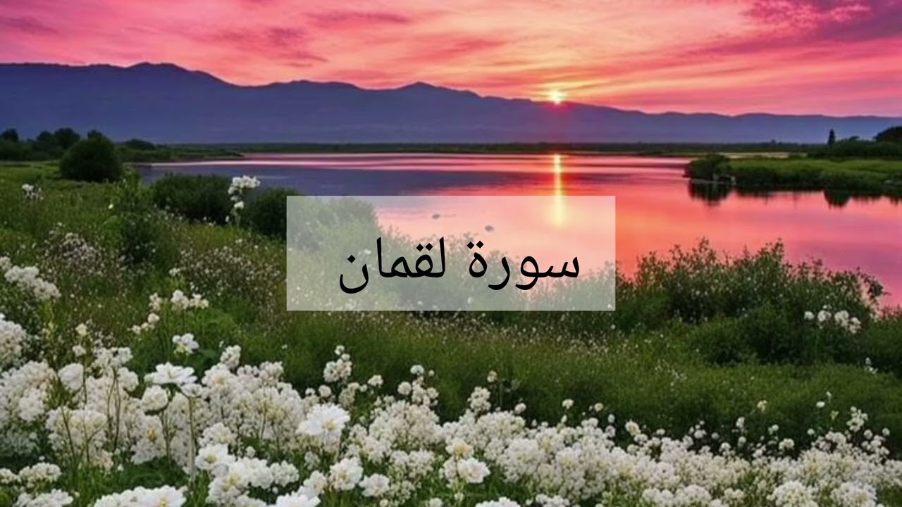 سورة لقمان الشيخ احمد العجمي 