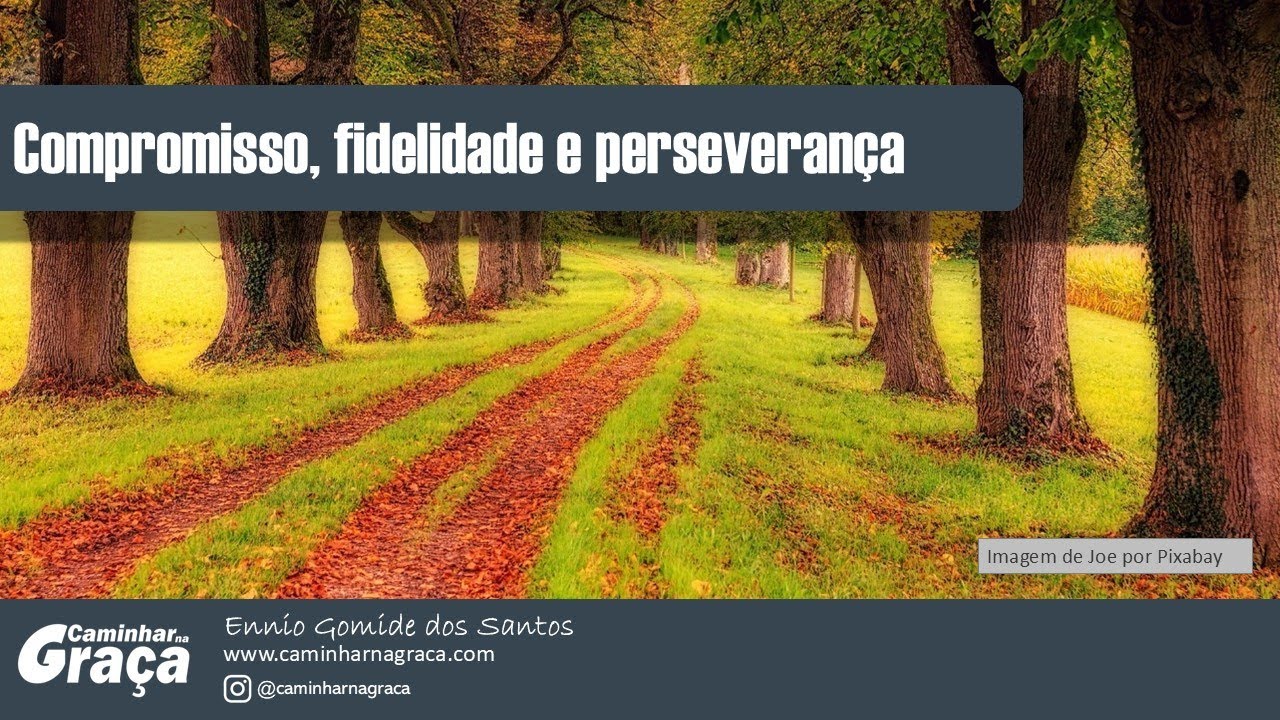 Um evangelho, muitos chamados