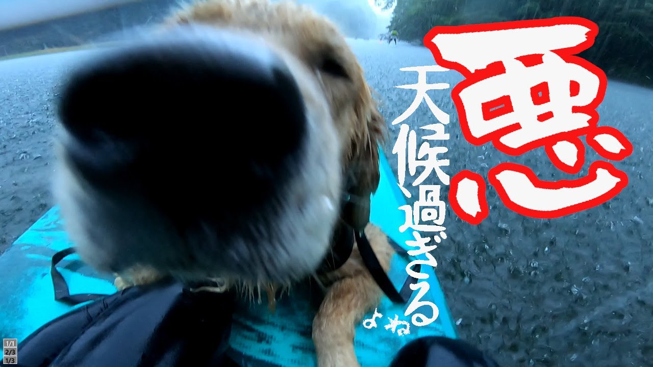 突然の豪雨と雷の中SUPをしていたらこうなりました